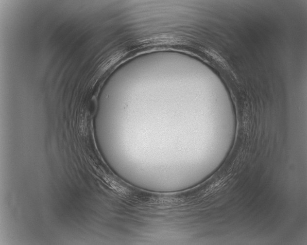 X0000051240873200507082121