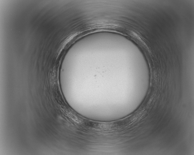 X0000051240875200507082121