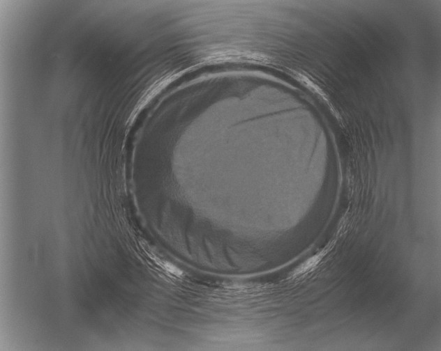 X0000051240877200507082121