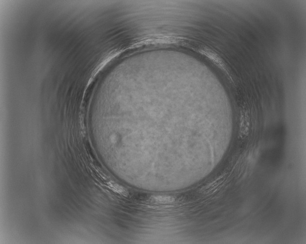 X0000051240878200507082121