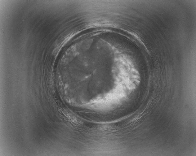 X0000051240879200507082121