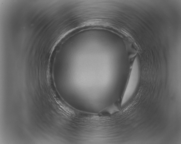 X0000051240880200507082121