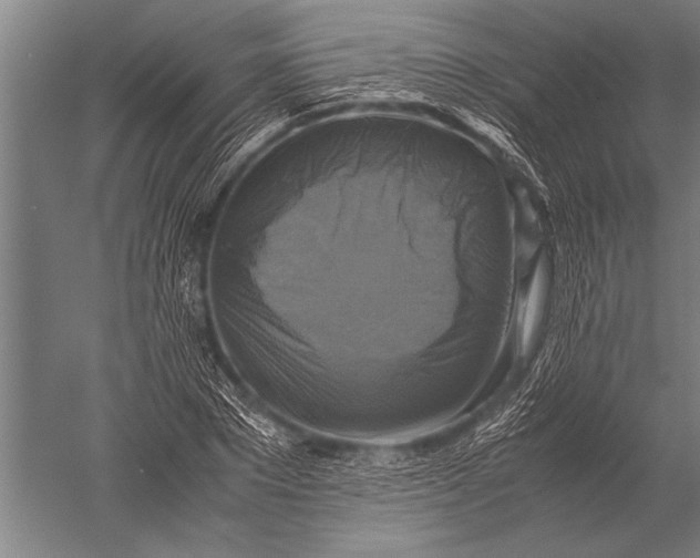 X0000051240881200507082121