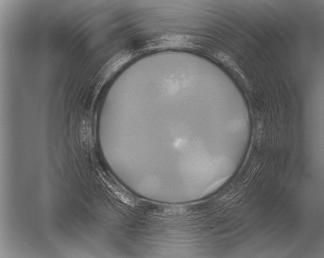 X0000051240882200507082121