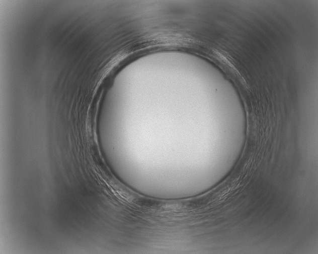 X0000051240883200507082121