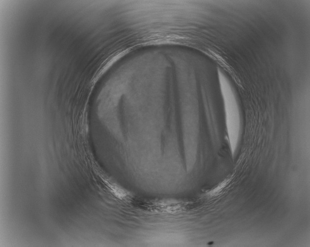 X0000051240885200507082121