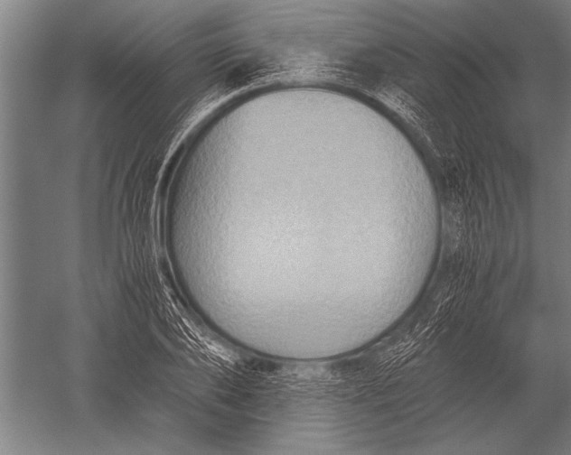 X0000051240886200507082121