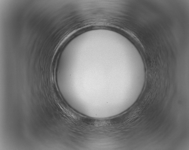 X0000051240887200507082121