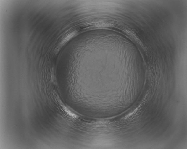 X0000051240889200507082121