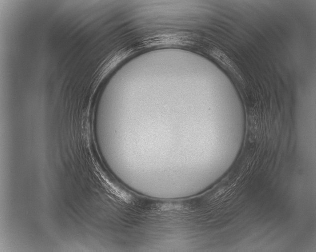 X0000051240890200507082121