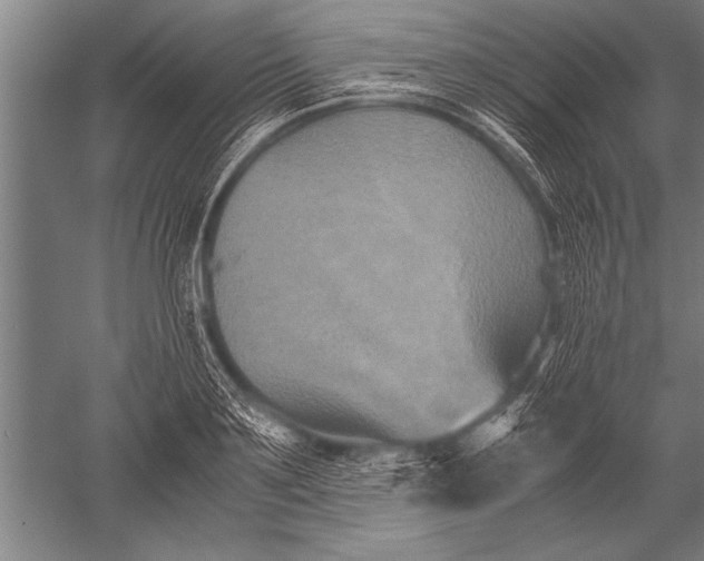 X0000051240891200507082121