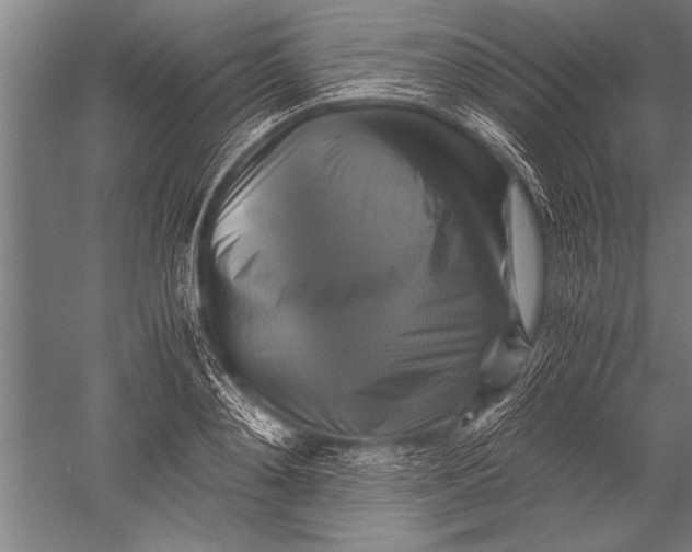 X0000051240892200507082121