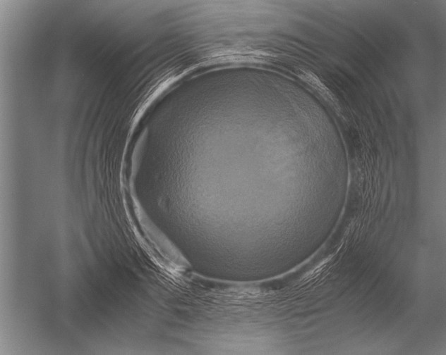 X0000051240893200507082121