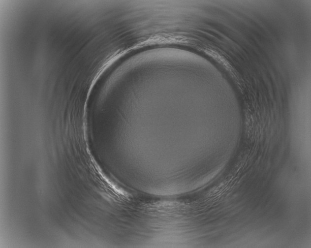 X0000051240894200507082121