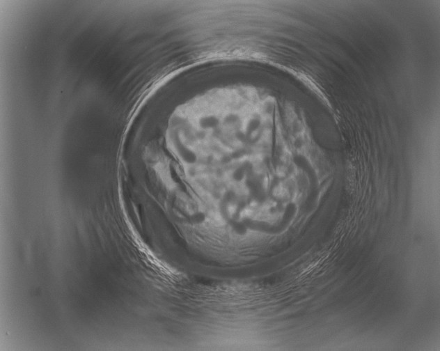 X0000051240895200507082121