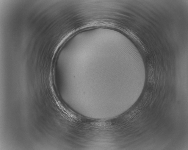 X0000051240896200507082121