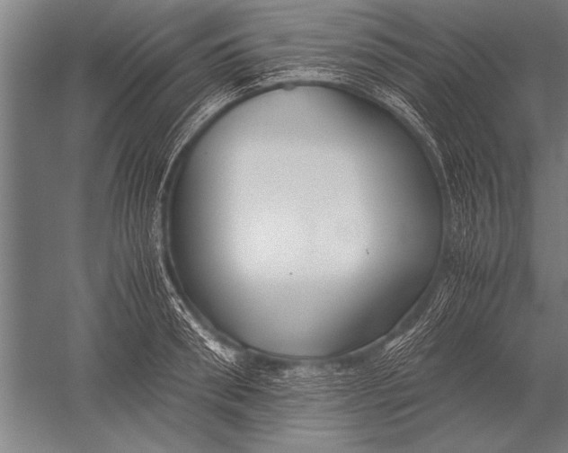 X0000051240898200507082121