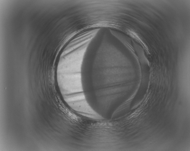 X0000051240900200507082121