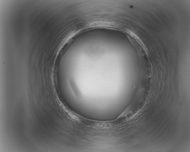 X0000051240901200507082121