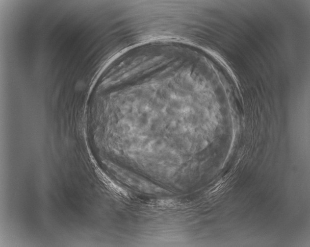 X0000051240903200507082121