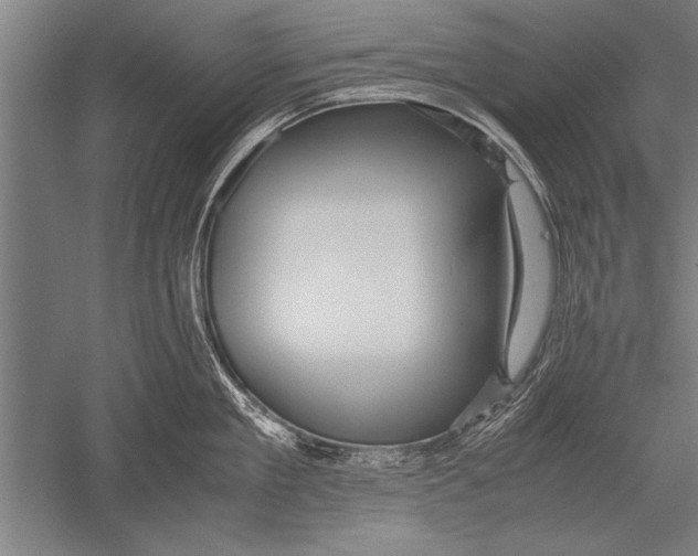 X0000051240909200507082121