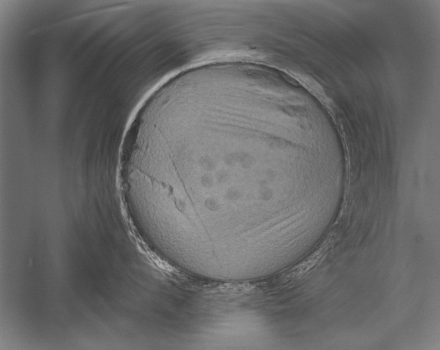 X0000051240912200507082121