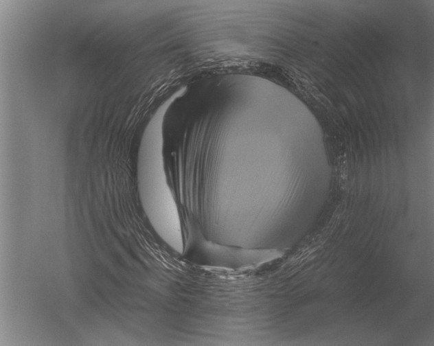 X0000051240916200507082120