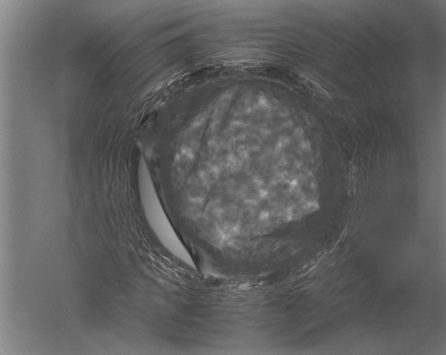 X0000051240917200507082120