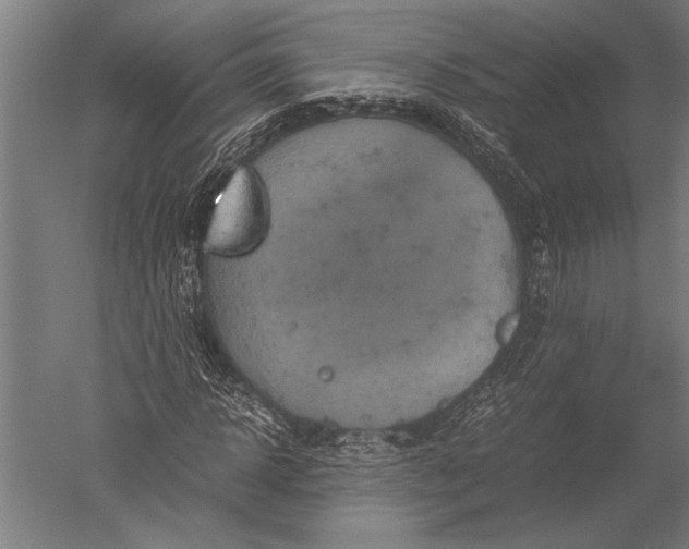 X0000051240918200507082120