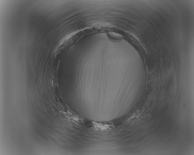 X0000051240919200507082120