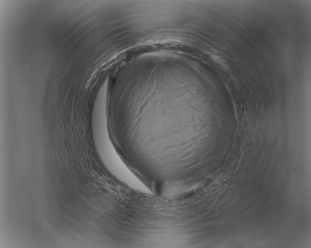 X0000051240920200507082120