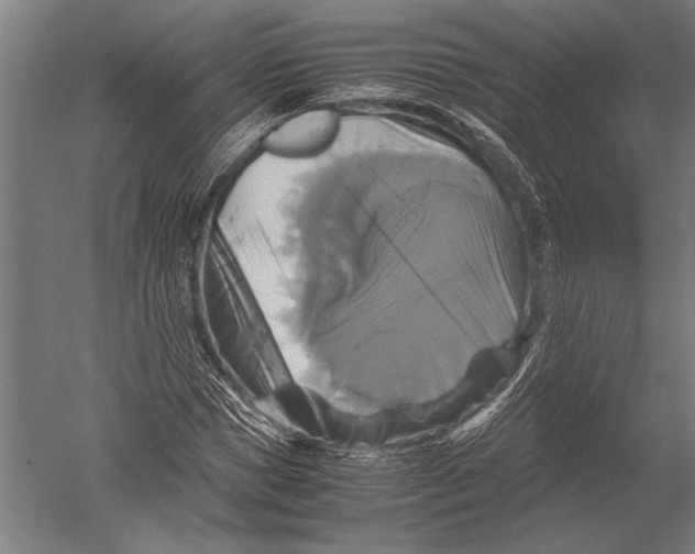 X0000051240921200507082120