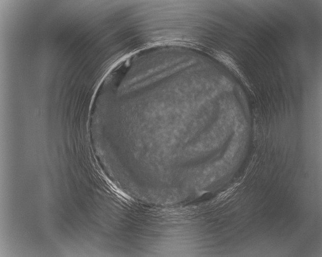 X0000051240924200507082120