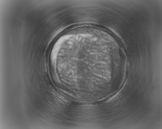 X0000051240925200507082120