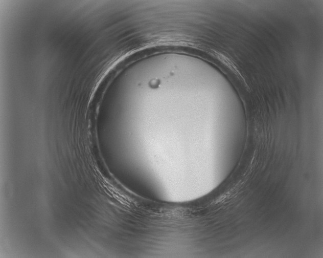 X0000051240926200507082120