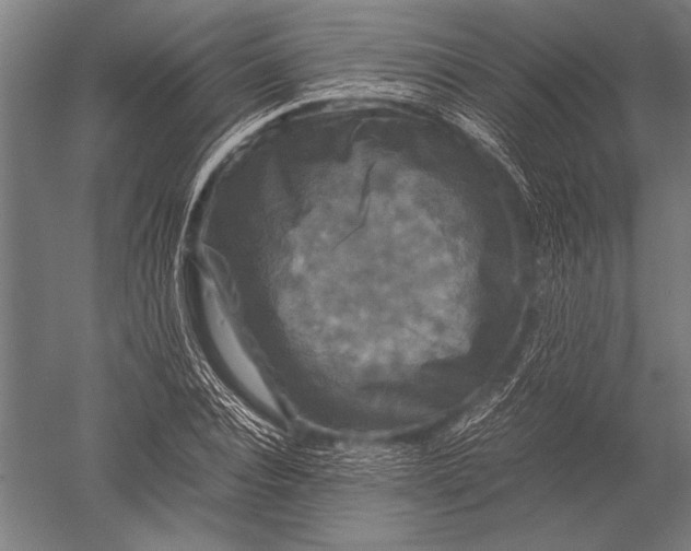 X0000051240928200507082120