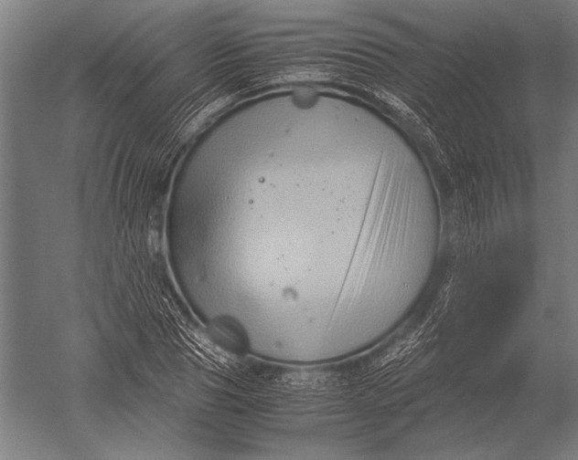 X0000051240929200507082120