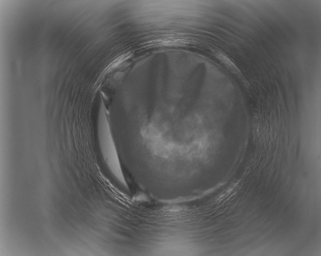 X0000051240930200507082120