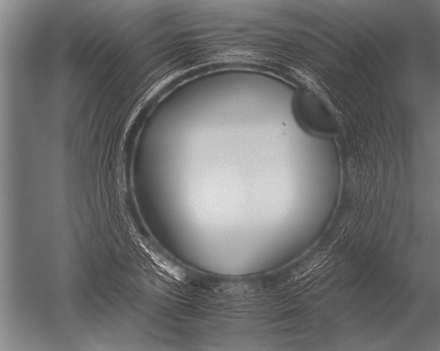 X0000051240931200507082120