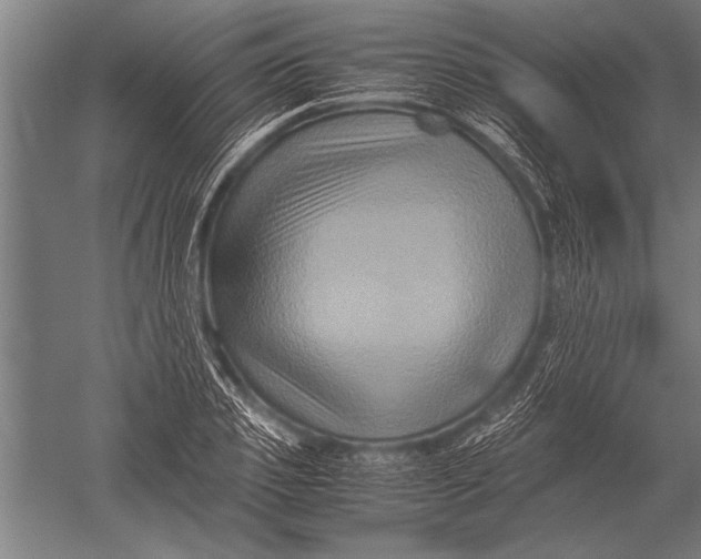 X0000051240933200507082120