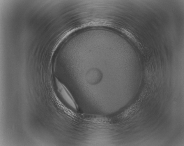 X0000051240934200507082120