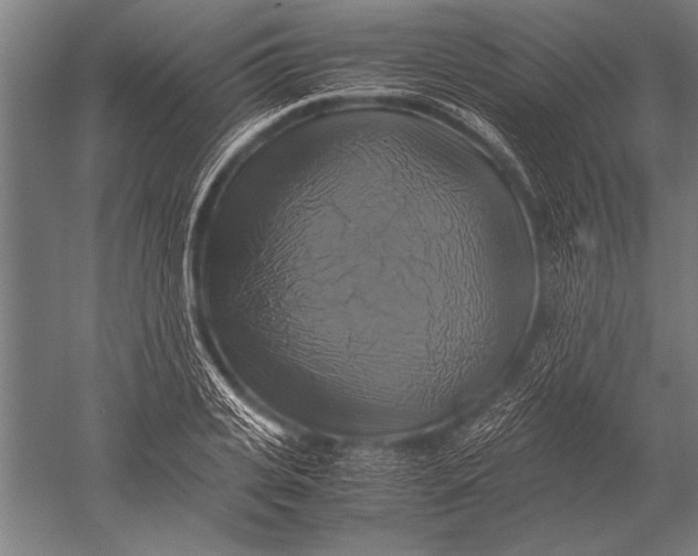 X0000051240935200507082120