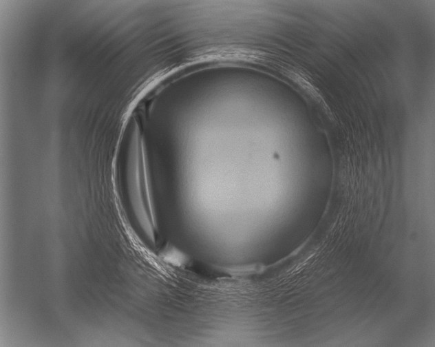 X0000051240936200507082120