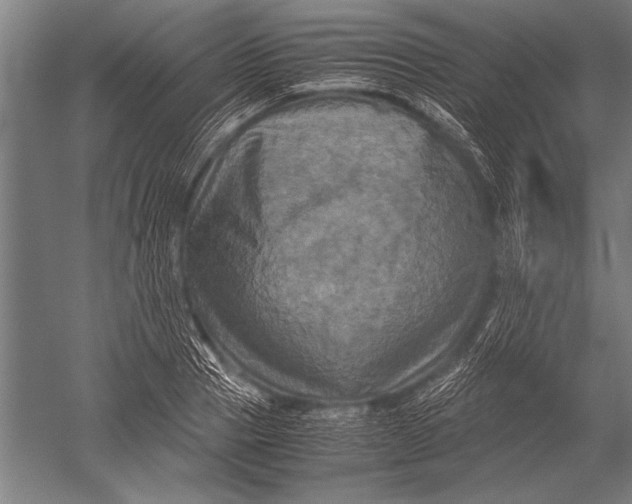 X0000051240937200507082120