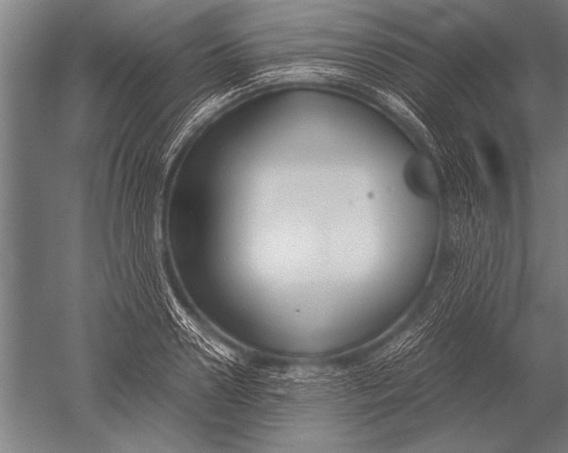 X0000051240938200507082120