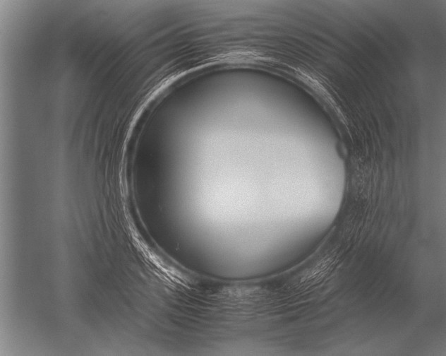 X0000051240939200507082120