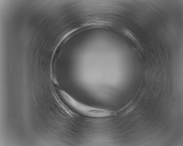 X0000051240940200507082120