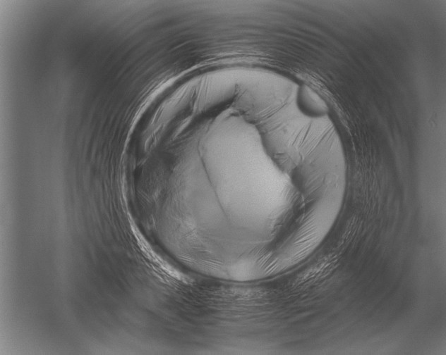 X0000051240941200507082120