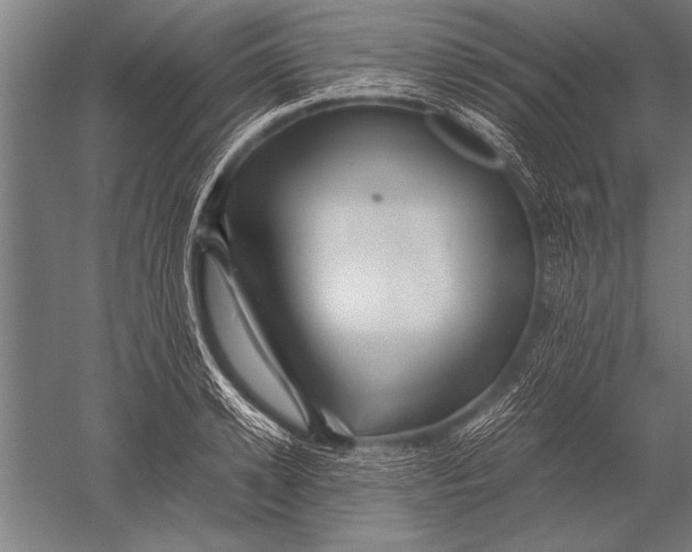 X0000051240942200507082120