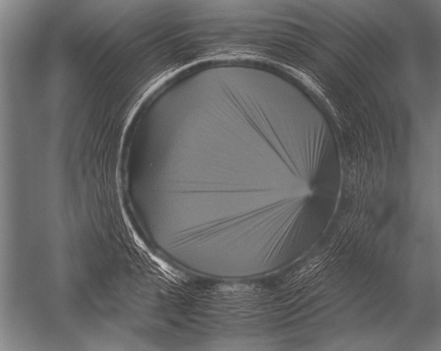 X0000051240943200507082120